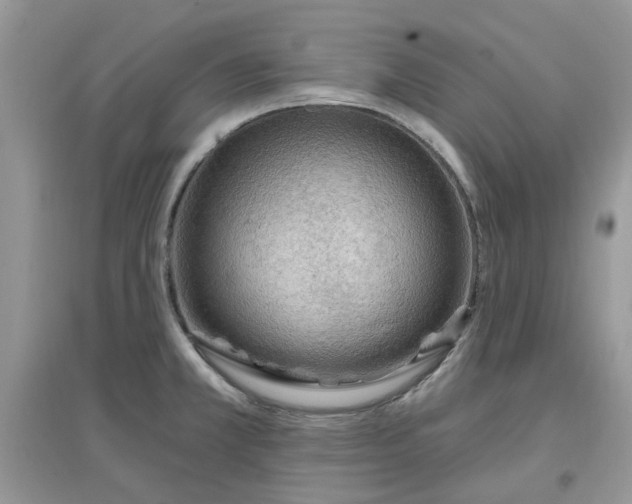 X0000097651381200803142100