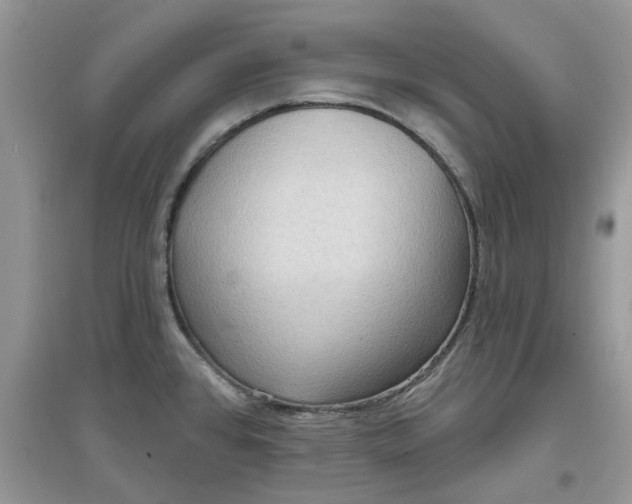 X0000097651384200803142100