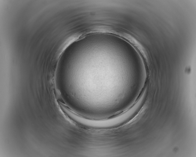 X0000097651385200803142100