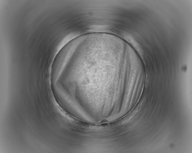 X0000097651386200803142100