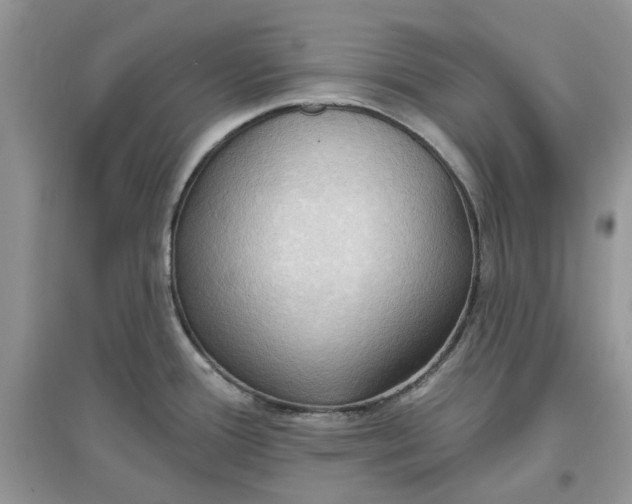 X0000097651388200803142100