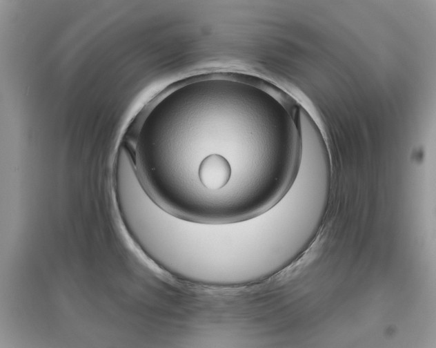 X0000097651389200803142100