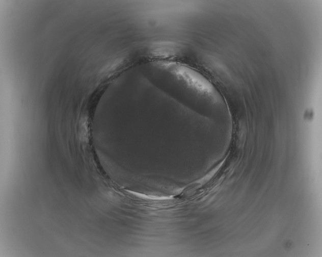 X0000097651394200803142059