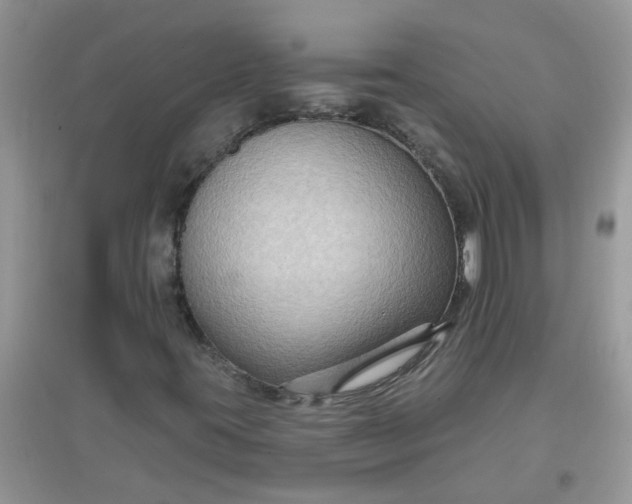 X0000097651395200803142059