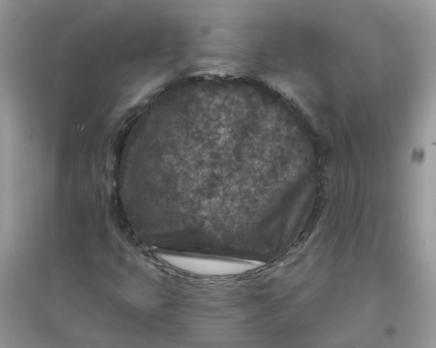 X0000097651399200803142059