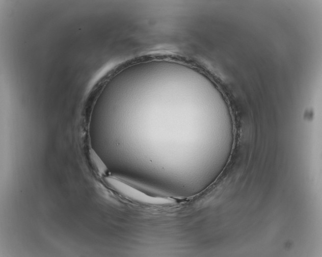 X0000097651400200803142059