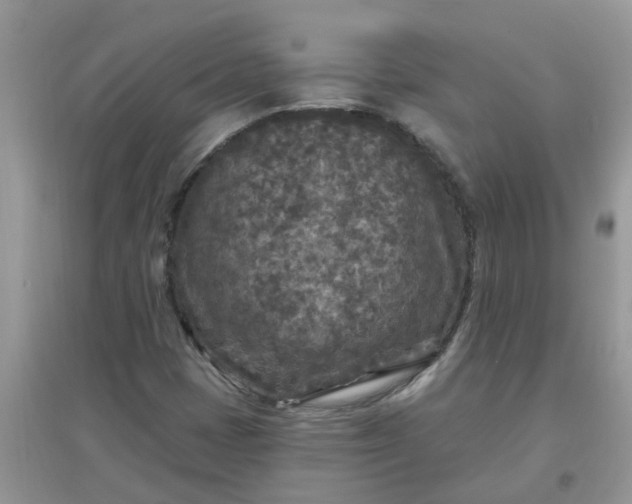 X0000097651401200803142059