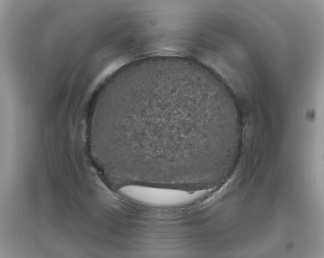 X0000097651402200803142059