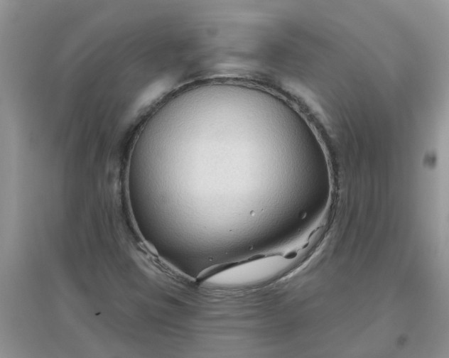 X0000097651403200803142059