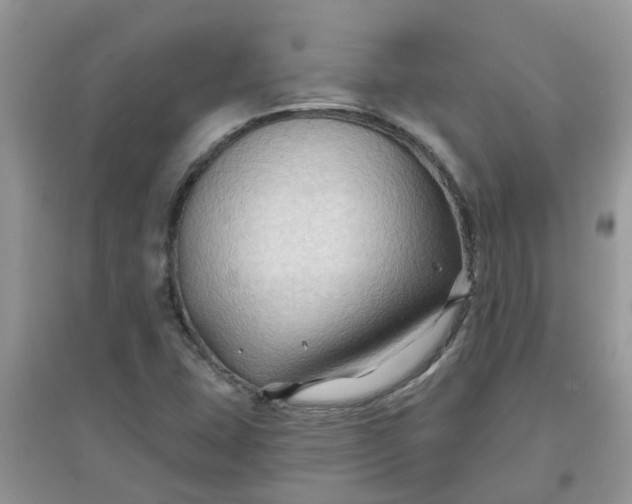 X0000097651407200803142059