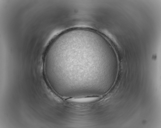 X0000097651408200803142059