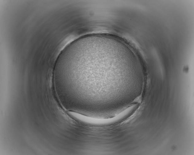 X0000097651409200803142059