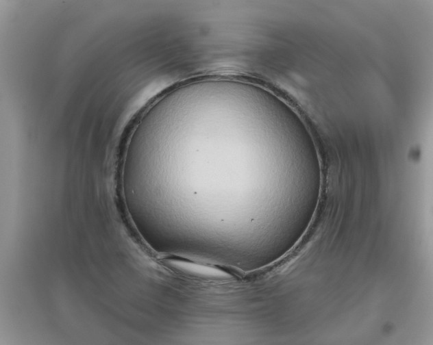 X0000097651410200803142059