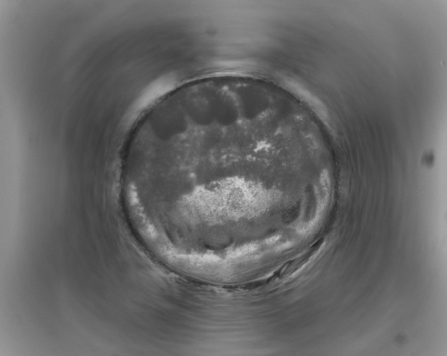 X0000097651411200803142059