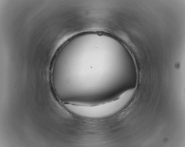 X0000097651412200803142059