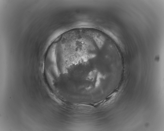 X0000097651413200803142059