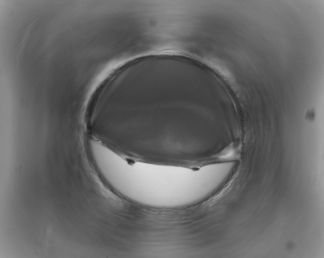 X0000097651414200803142059