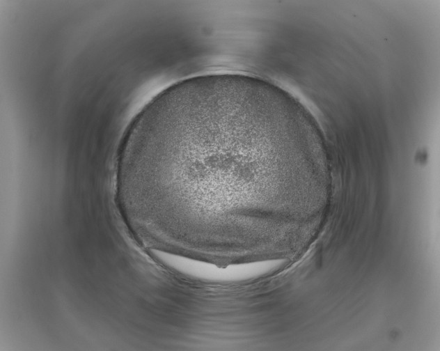 X0000097651415200803142059