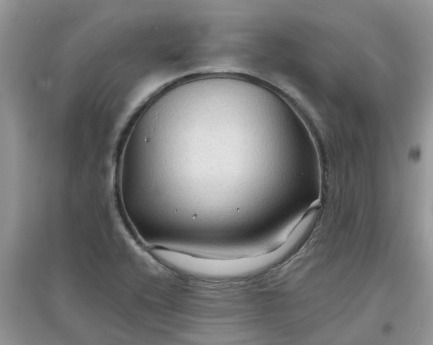 X0000097651416200803142059