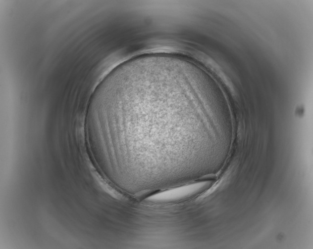 X0000097651417200803142059