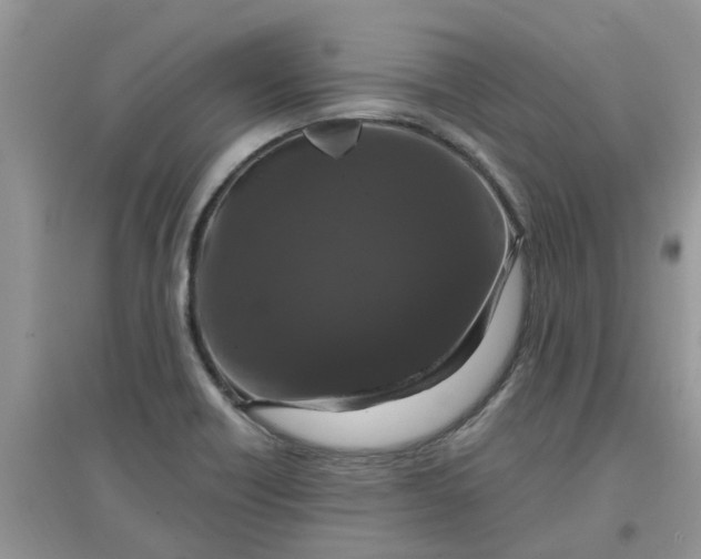 X0000097651418200803142059