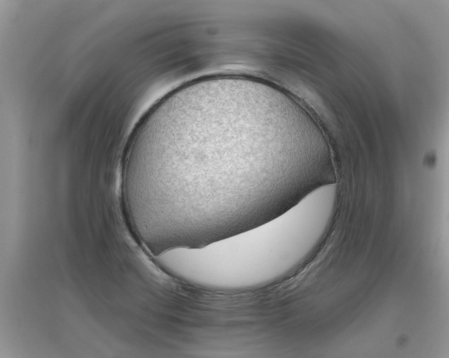 X0000097651420200803142059