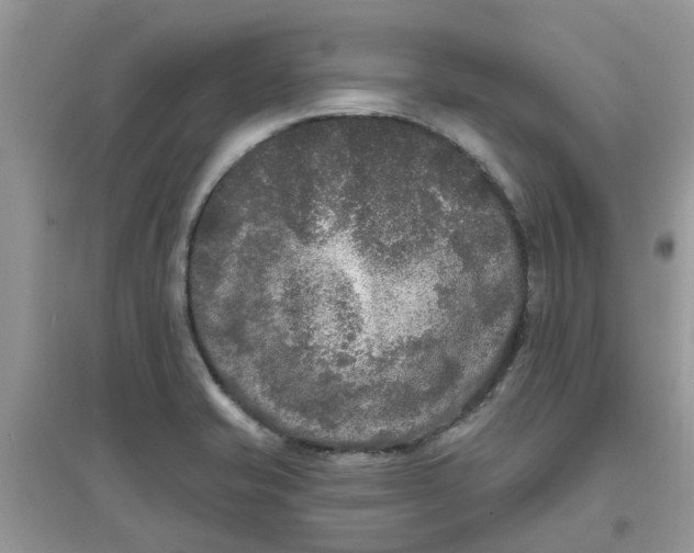 X0000097651421200803142059