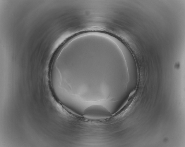 X0000097651422200803142059