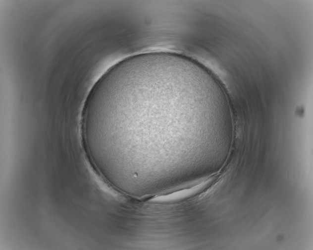 X0000097651423200803142059