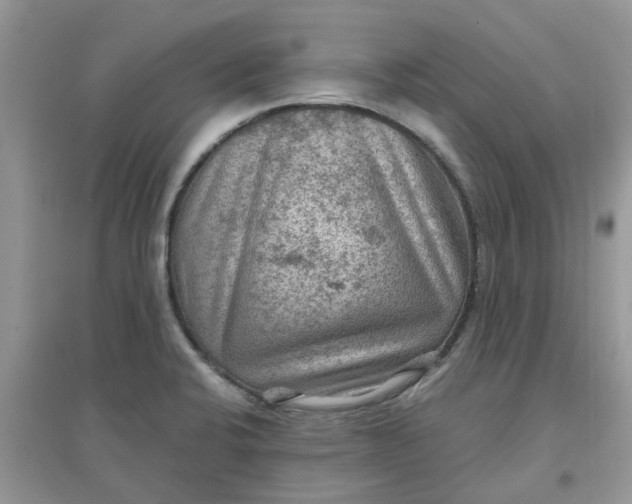 X0000097651424200803142059