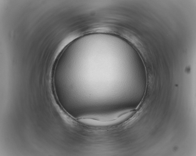 X0000097651426200803142059