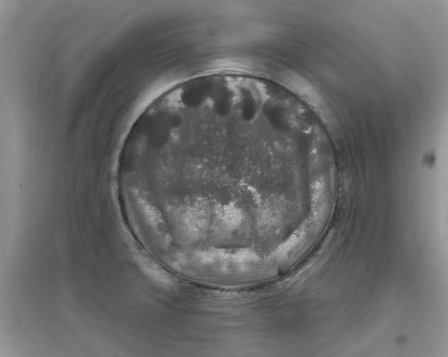 X0000097651427200803142059