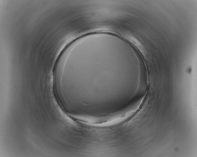 X0000097651428200803142059