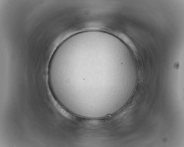 X0000097651431200803142100