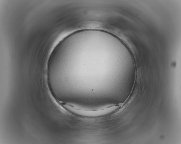 X0000097651432200803142100