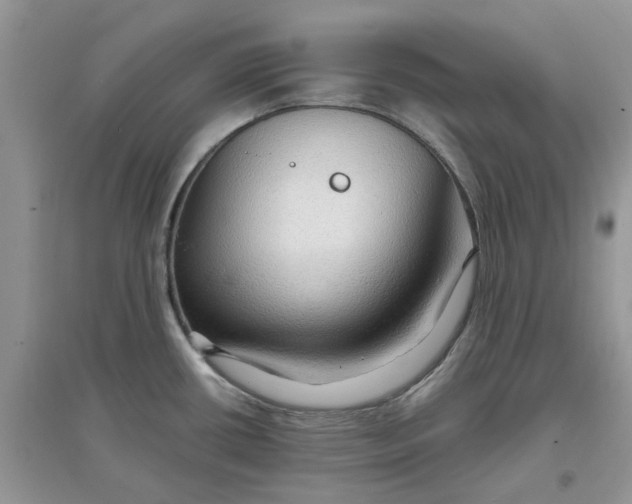 X0000097651434200803142100