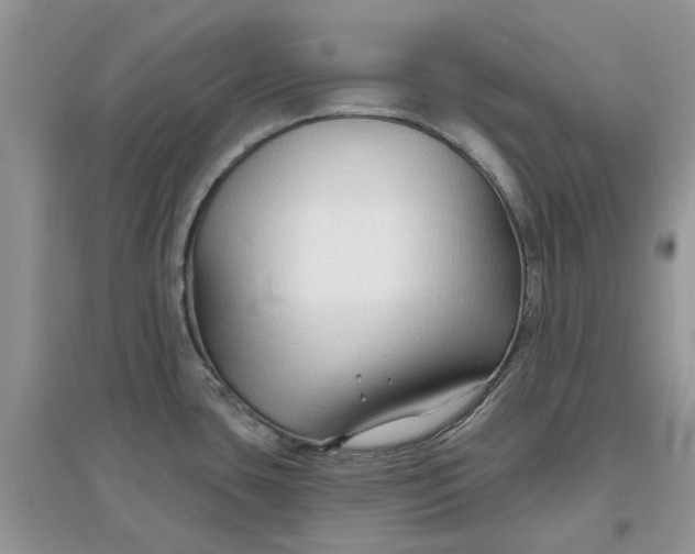 X0000097651435200803142100