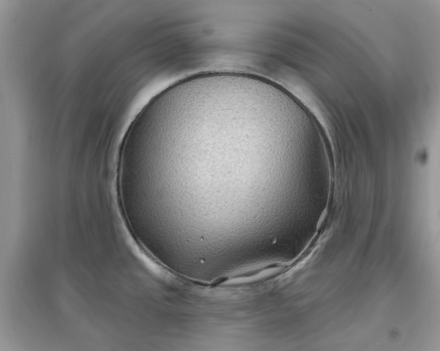 X0000097651437200803142100