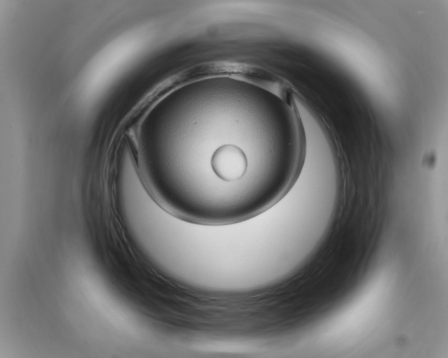 X0000097651438200803142100