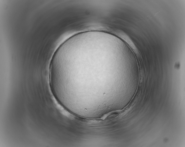 X0000097651439200803142100