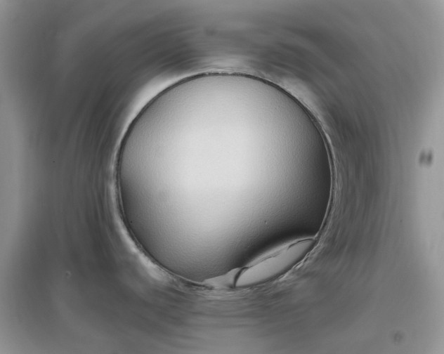 X0000097651440200803142100