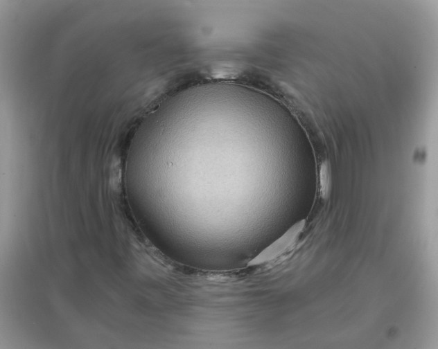 X0000097651443200803142059