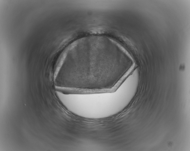 X0000097651444200803142059