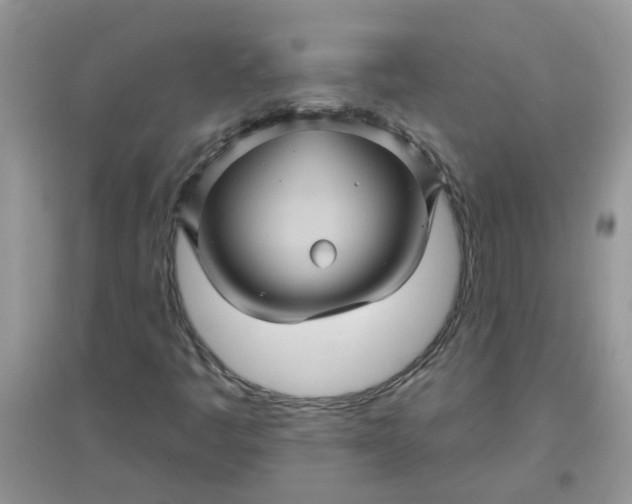 X0000097651445200803142059