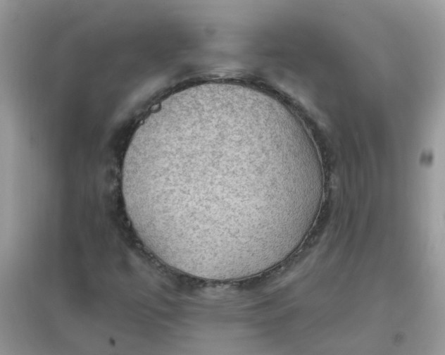 X0000097651447200803142059