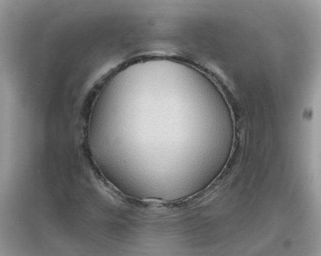 X0000097651448200803142059