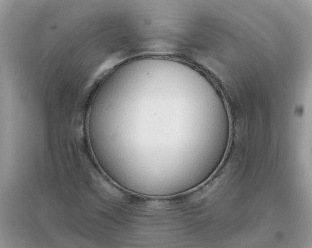 X0000097651451200803142059