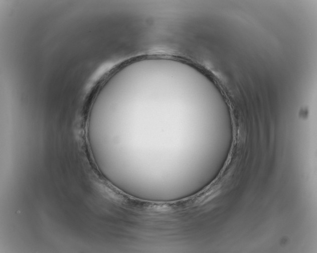 X0000097651454200803142059