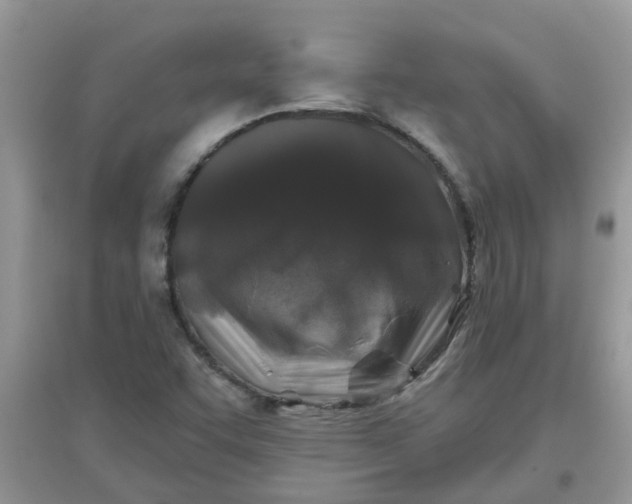 X0000097651455200803142059