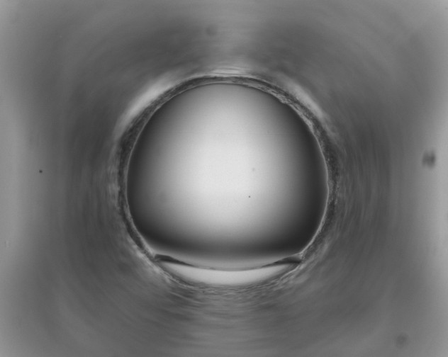 X0000097651456200803142059